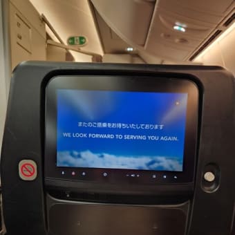 ドイツ・フランクフルト空港～帰国