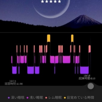 睡眠💤記録