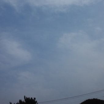 ＳＵＮＮＹ ＤＡＹ