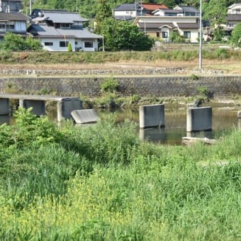 県内ギリギリへ、福塩線～芸備線をウロウロドライブ、、、