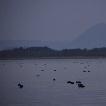 その２８