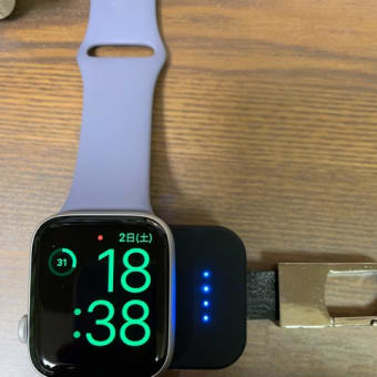 説明に書いてある通りでした、この充電器はApple Watch4に使えません