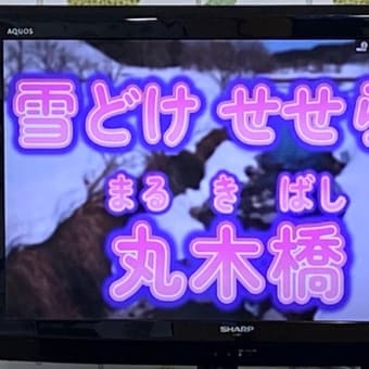 カラオケだ、字が大きい見やすい。