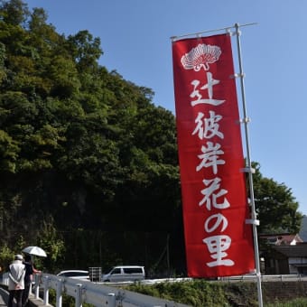 アップが遅れましたが、お休みネタで、、、