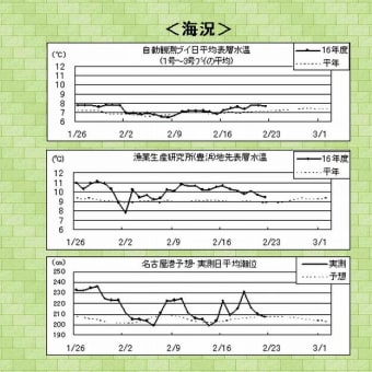 ボラ騒ぎ　ボラの大量遡上を考える