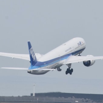 宮崎空港 全日空 Boeing787-10（２０２４年５月２２日）