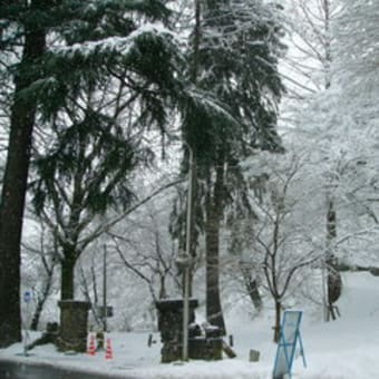 船岡公園　もういっちょ