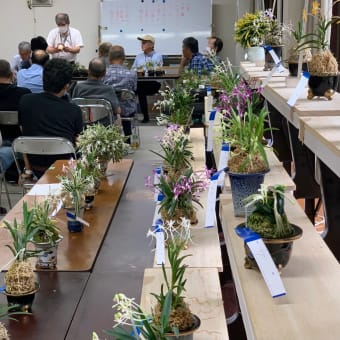 ７月13日に関東富貴蘭会「花の会」