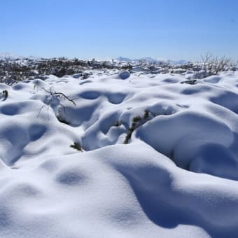 【大雪山国立公園・旭岳情報】青と白の世界