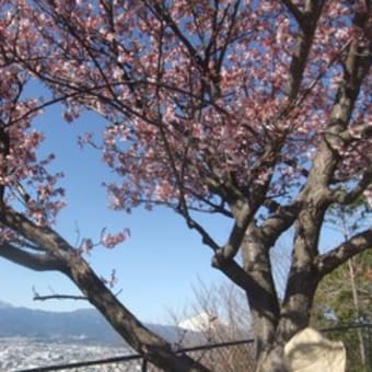 今日の天気