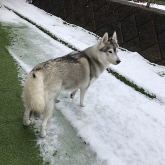 ❄️