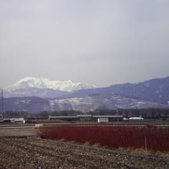 雪化粧の伊吹山と池田山