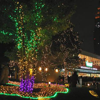 １２月はあちこちでイルミネーション　３