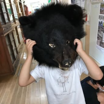 戸隠地質化石博物館〜2019.7.28長野県長野市立博物館分館〜