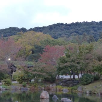 京都の紅葉(2018/11/4）八坂神社・円山公園