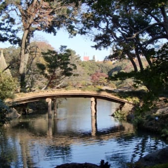 紅葉の「六義園」