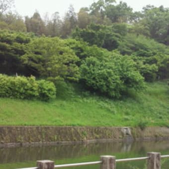 雨上がりの散歩　