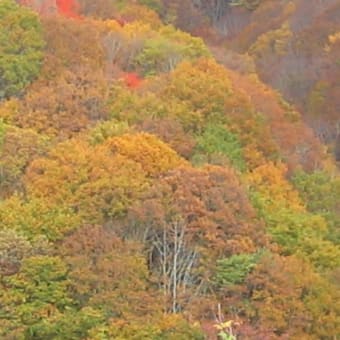 磐梯山のあでやかな紅葉は会津の自然が育んだ美の極致