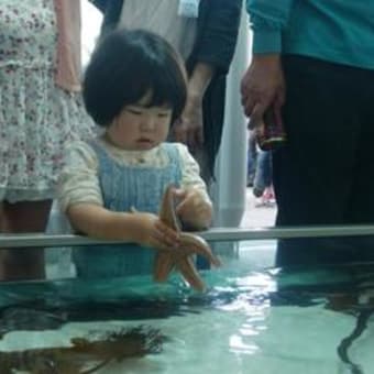休暇の過ごし方