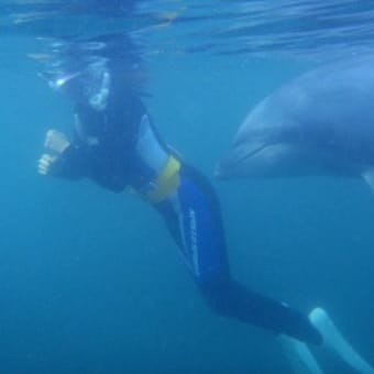 下田海中水族館［2回目］