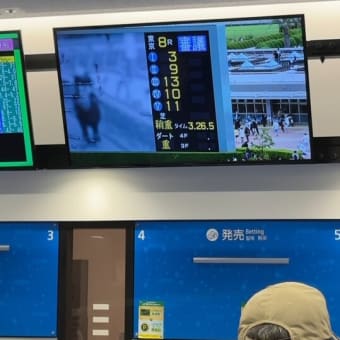 まだまだ復調は先のようです（復調って勝ったことある人の言う事やん）