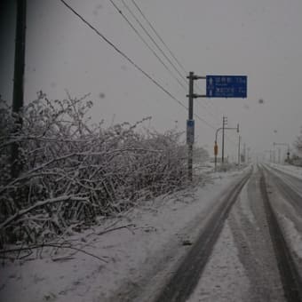 First snow 初雪