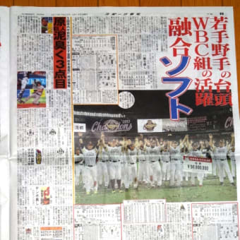 最近の日刊スポーツにはあきれる（その１）