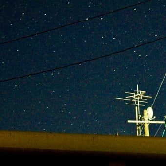 ひまわり畑と星空