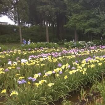 10ｰJun-25　上尾丸山公園に寄る