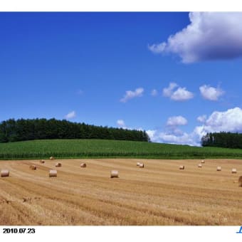 2010 富良野を巡るⅡ（中富良野・上富良野）