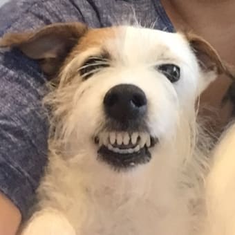 友達や兄弟や