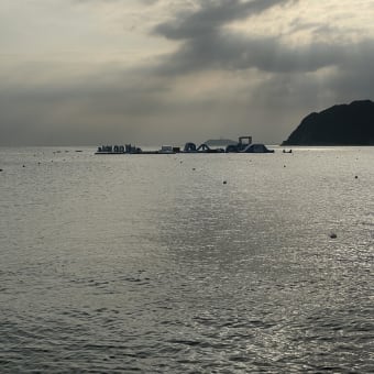 逗子海岸の1日