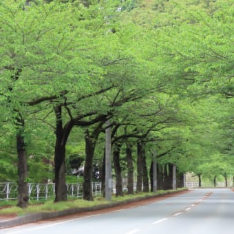 宮城県石巻　2日目　その1