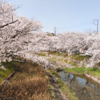 今日いち-2025年4月9日