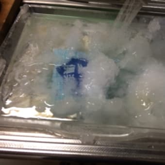 冷凍庫が凍ってしまう