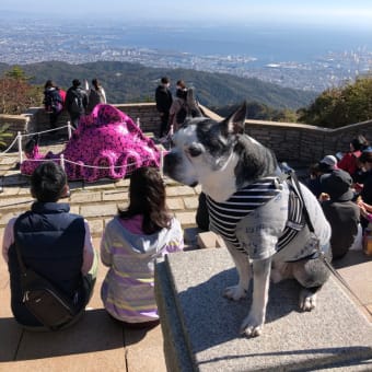 六甲山へ