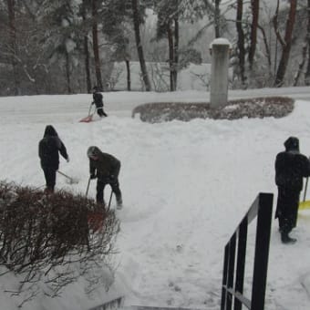 大雪です!!