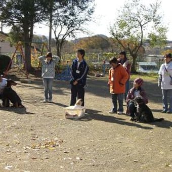 Ｓ保育所交流活動