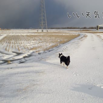 犬は喜び庭かけ回る～♪