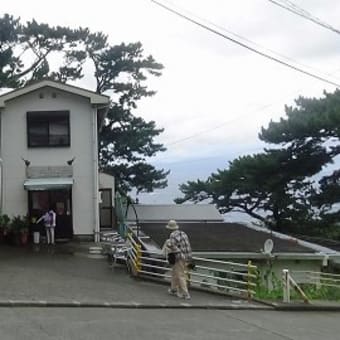 伊豆諸島８島制覇の旅《後編》　八丈島・御蔵島・三宅島・伊豆大島４島めぐり　１１回目　御蔵島
