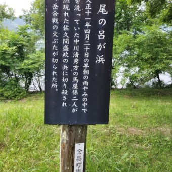 アジサイの余呉湖一周と北国街道を歩く〜滋賀県ウォーキング協会例会
