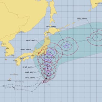 「金」よりも、【菌】こそ大切にしなければ生けないのです。