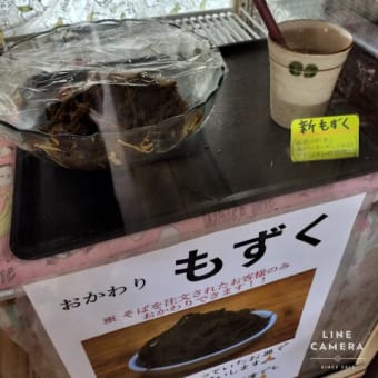 春休み沖縄の旅~首里城と斎場御嶽~