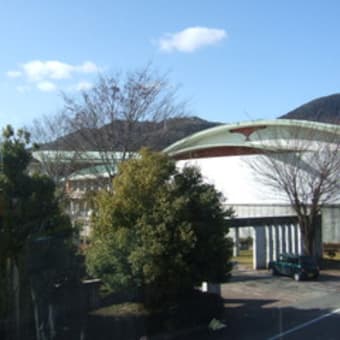 お散歩サンデー