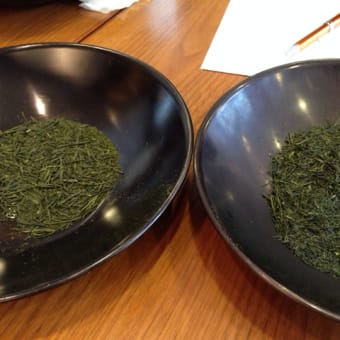 茶茶の間で入門集中講座