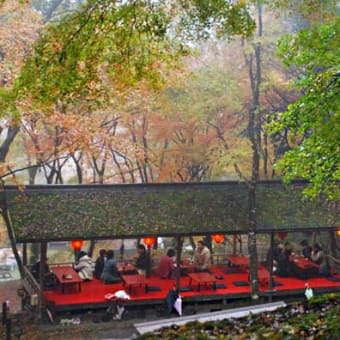 紅葉の神護寺