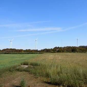 念願の「エデンの園」へ、お参りに行ってきた。