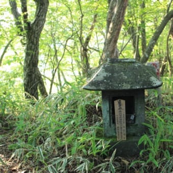 鳴虫山　宿題イノシシ尾根を今回もめざした　