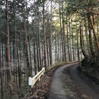 道志みち～巌道峠～金波美峠～奥牧野～道志みち