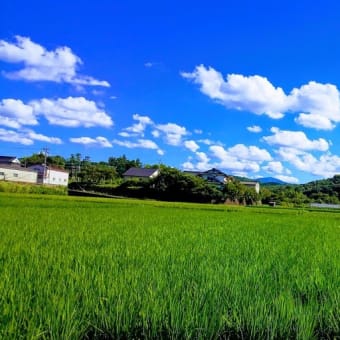 真夏の景色